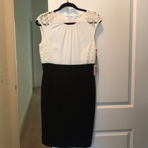 Calvin Klein Black and White Dress